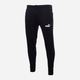 Спортивні штани чоловічі Puma Sweatpants 586714 01 L Чорні (4063697316225) - зображення 5