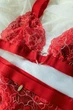 Комплект: бюстгальтер з м'якою чашкою та трусики стрінг Obsessive 48/50(XL/XXL) Червоний (101130) - зображення 7