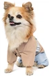 Дощовик Pet Fashion Tina XS для дівчинки Бежевий з блакитним (4823082435135) - зображення 2