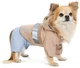 Дощовик Pet Fashion Tina S для дівчинки Бежевий з блакитним (4823082435159) - изображение 3
