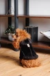 Дублянка Pet Fashion Black ХS для собак Чорна (4823082435241) - изображение 4