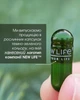 Экстракт гриба рейши New Life 60 растительныхе капсул - изображение 5