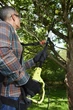 Висоторіз-Кущоріз Ryobi RP750450 - изображение 3