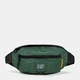 Сумка на пояс бананка чоловіча тканинна Caterpillar (CAT) Millennial Classic Raymond 84062-603 Зелена (5711013136383) - зображення 1