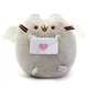 Мягкая игрушка Pusheen cat Пушин кэт с письмом в лапках 23х25 см Серый n-11984 - изображение 1