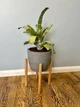 Подставка для вазона, цветов из дерева d 22см, WoodDecor под лаком - изображение 3