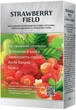 Чай зеленый китайский листовой Мономах Strawberry field с ягодами, лепестками цветов и натуральным ароматом земляники 80 г (4820198877668) - изображение 2