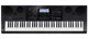 Профессиональный синтезатор для творчества CASIO WK-7600 со стойкой и педалью Black - изображение 2