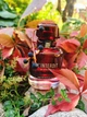 Тестер Парфумована вода для жінок Givenchy L'Interdit Rouge 80 мл (3274872428065) - зображення 3