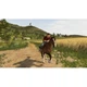 Игра Farming Simulator 20 (русские субтитры) (Nintendo Switch) - изображение 4