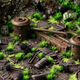 Dekor Gamers Grass Basing Bits Spaceship Corridor (0738956790538) - obraz 3