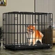 Клітка для собак та кішок Springos 60 x 50 x 42 см S розмір (PA1020) - зображення 2