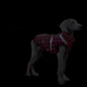 Рождественская зимняя куртка для собак V.PET.B.R Snowflakes 3XL - изображение 8