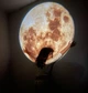 Проекционный аккумуляторный ночник проектор луны на потолок и стену Moon Projector 3698 Черный - изображение 4