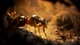Empire of the Ants Limited Edition (PS5) - зображення 2
