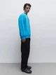 Свитшот мужской H&M 06446985 M Светло-синий (6666000341693) - изображение 4