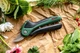 Кущорізи акумуляторні Bosch EasyPrune (06008B2102) - зображення 7