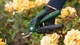 Кущорізи акумуляторні Bosch EasyPrune (06008B2102) - зображення 15
