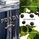 Туалетная Вода Prada Lhomme 1 5 Мл Пробник - изображение 4