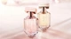 Парфюмированная Вода Hugo Boss The Scent For Her 50 Мл Тестер - зображення 4