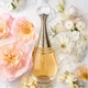 Парфюмированная Вода Dior Jadore Infinissime 100 Мл Тестер - зображення 4