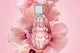 Туалетна Вода Jimmy Choo Leau 40 мл - зображення 4