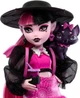 Кукла Монстер Хай Дракулаура с питомцем и аксессуарами G3 Monster High Draculaura Doll (HRP64) - изображение 3