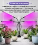 Світлодіодна настільна фітолампа 4 LED світильники для рослин та розсади на керуванні зі зміною кольору та таймером - зображення 4
