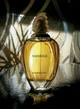 Туалетна вода для жінок Givenchy Amarige 100 мл - зображення 4