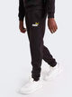 Дитячі теплі спортивні штани на флісі для хлопчика Puma Ess+ 2 Col Logo Pants Fl Cl 586988-54 110 см Чорні (4065449096003) - зображення 1