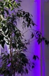 Підсвідка для столу A-RGB (ULTRA) Світлодіодна стрічка 2.5м (для геймерського столу) - зображення 3