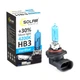 Галогенные лампы для авто SOLAR HB3 12V 65W P20d StarBlue 4200K для главного света и туманок STM03320 - изображение 2