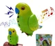 Інтерактивний папуга Funny Parrot для мовленнєвих навичок TT8005 з функцією запису та розпізнавання жестів акумуляторний Зелений - зображення 2