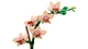Конструктор LEGO Botanicals Маленькая орхидея 274 элемента (10343) - изображение 5