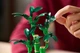 Конструктор LEGO Botanicals Драцена сандера 325 элементов (10344) - изображение 5
