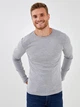 Чоловічий реглан LC Waikiki L Сірий (LCWKnitwear-8651) - зображення 1
