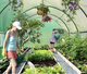 Теплиця садова Holla Garden 6 м2 300х200х200 см (P0021-7) - зображення 5