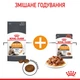 Корм для котів ROYAL CANIN HAIR&SKIN CARE 10,0 кг для підтримки здоров’я шкіри та блиску шерсті (2526100) - изображение 4