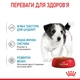 Корм Royal Canin Mini Puppy влажный для щенят малых пород 85 гр - изображение 4