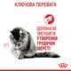 Корм Royal Canin Hairball Care влажный для вывода шерсти у взрослых котов 85 гр - изображение 6