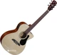 Гитара электроакустическая Alvarez RF26CE (AV-0007) - изображение 1