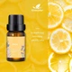 Ефірна олія Kinscoter Essential Oil Set 6 bottles, 6*10 мл - зображення 4