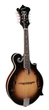 Мандоліна Richwood RMF-60-VS - зображення 1