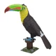 Металлический конструктор 3Д Metal Earth - Keel-billed Toucan, ME1020 - изображение 1