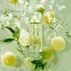Туалетная вода для женщин Lancome O De Lancome 75 мл (3147758155341) - изображение 4