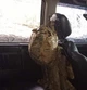 Универсальная молле-панель, органайзер XRoad на подголовник автомобиля, с крючком - изображение 9