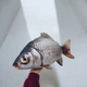 Игрушка мягконабивная Рыба - Карась серебряный 70 см Сувенир-Декор (K-S-70) (254426) - изображение 2