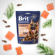 Лакомства для собак Brit Premium Semi-moist Snacks Salmon with Dill полувлажные с лососем и укропом 180 г (8595602573936) - изображение 2