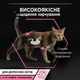 Purina Pro Plan Delicate набор влажного корма для кошек с чувствительным пищеварением 10x85г - изображение 6