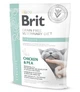 Сухий корм для дорослих котів Brit VetDiets Cat Struvite при захворюваннях сечовивідних шляхів з куркою 400 г (8595602528288) - зображення 1